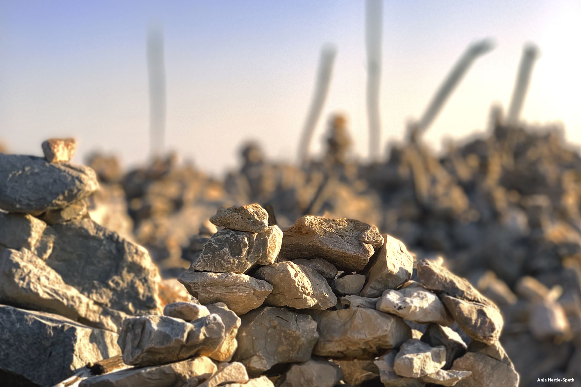 Jetzt - Foto Anja Hertle-Speth