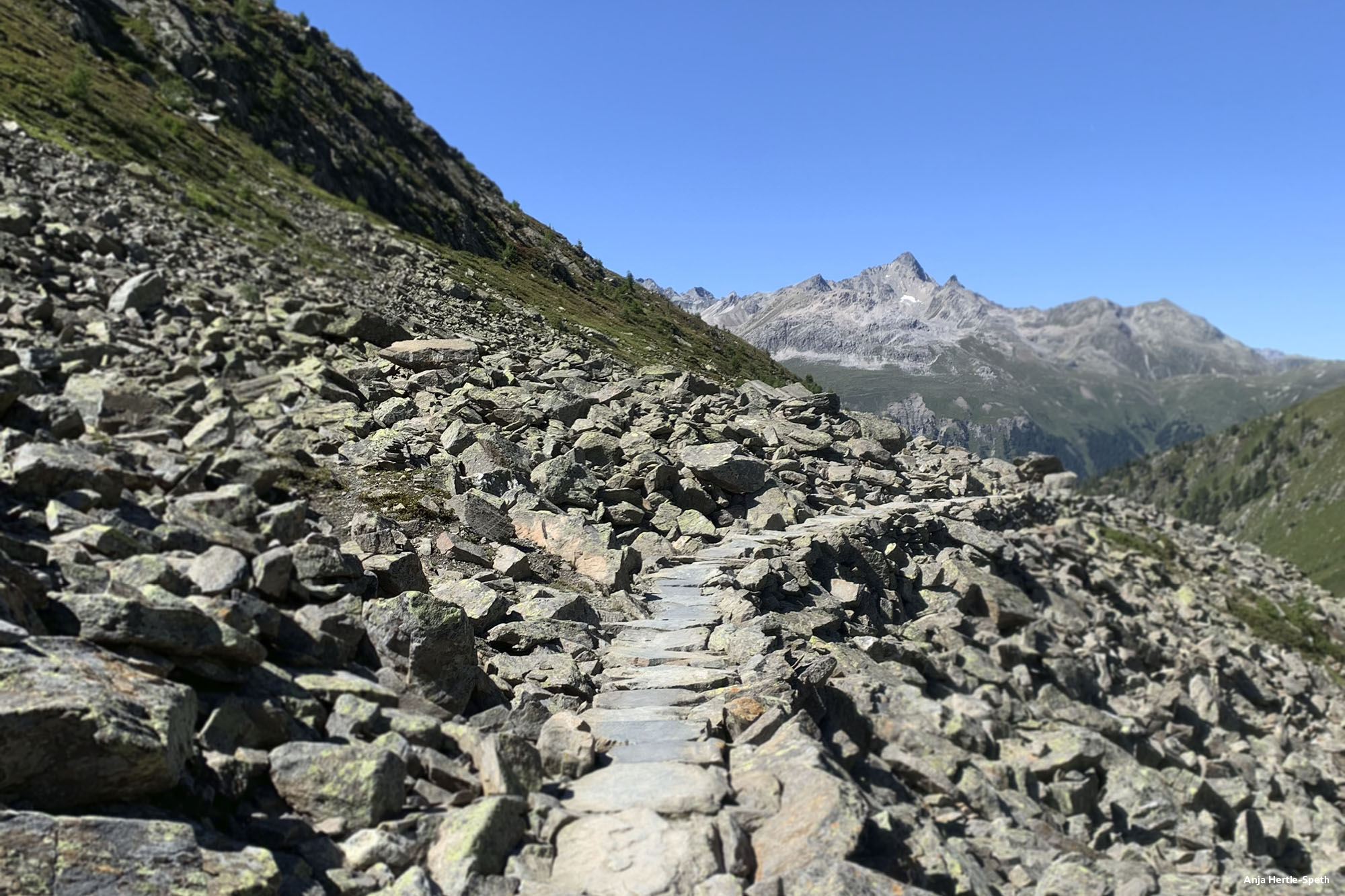 Der Weg - Foto Anja Hertle-Speth